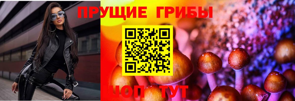 Псилоцибиновые грибы Magic Shrooms  Вход с VPN  Горячий Ключ 